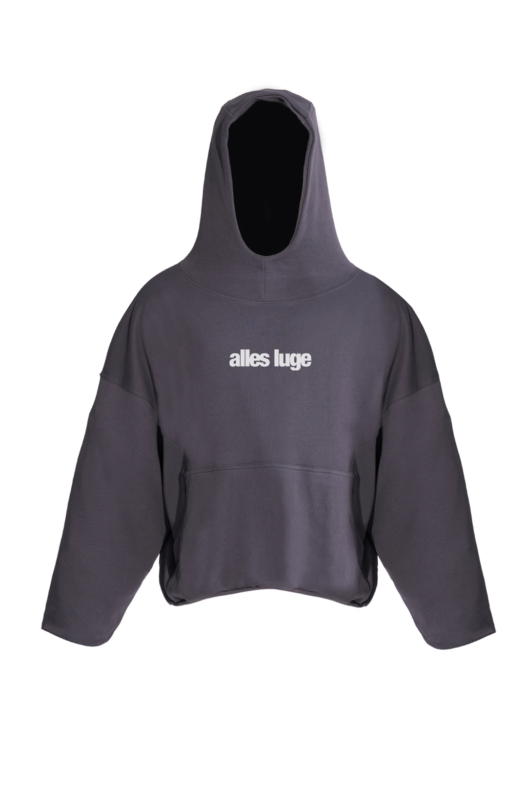 Alles Luge / Oversized Double Layer Pullover Hoodie